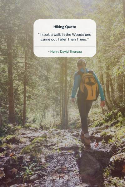 Inspirational Hiking quote. “I took a walk in the woods and came out taller than trees.” - Henry David Thoreau