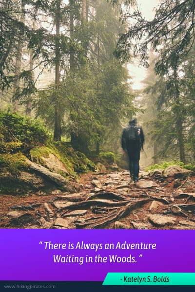 Trending Quotes for Hiking With Friends “There is always an adventure waiting in the woods.”- Katelyn S. Bolds